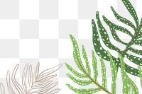 PNG plant fern sticker botanical illustration