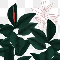 PNG rubber plant sticker botanical illustration