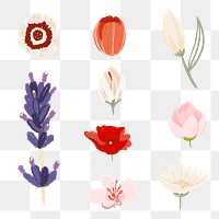 Flower png stickers colorful illustration set