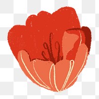 Tulip png flower sticker red illustration