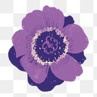 Anemone png flower sticker purple illustration