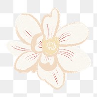 Magnolia png flower sticker white illustration