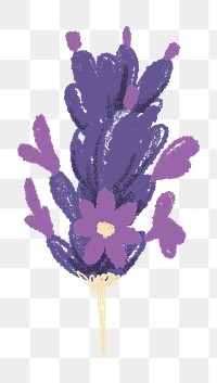 Lavender png flower sticker purple illustration