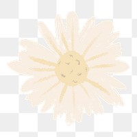 Daisy png flower sticker white illustration