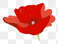Poppy png flower sticker red illustration
