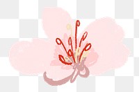 Flower png cherry blossom sticker pink illustration