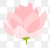 Lotus png flower sticker pink illustration