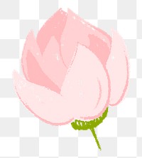 Lotus png flower sticker pink illustration