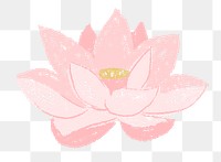 Lotus png flower sticker pink illustration