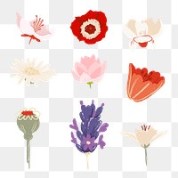 Flower png stickers colorful illustration set