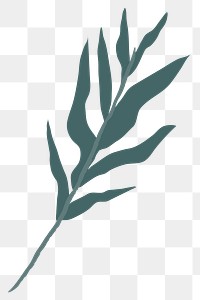 Alchemy branch leaves icon png mystic sticker illustration minimal