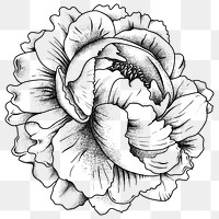 Vintage tattoo old school flash rose png icon