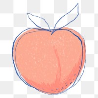 Doodle art fruit peach png sticker