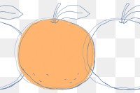Orange fruit png hand drawn design space
