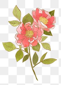 Hand-drawn png rose flower design element