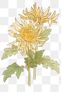 Hand-drawn png chrysanthemum sticker design element