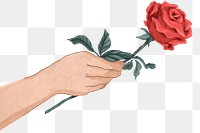 Cute Valentine&rsquo;s rose gift png hand drawn illustration