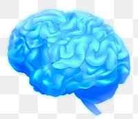 Png human brain illustration in blue