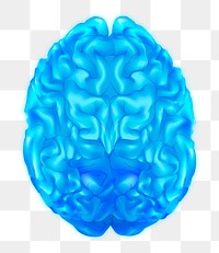 Png human brain illustration in blue