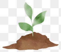 Png green plant with soil design element