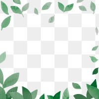 Frame png with leaf design