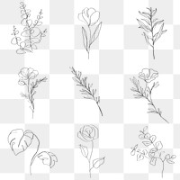Png flowers minimal line art illustration collection