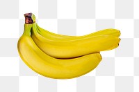 Banana stalk png clipart, yellow fruit on transparent background