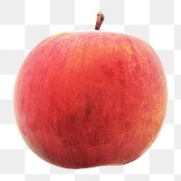 Organic peach png clipart, red fruit on transparent background