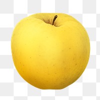 Yellow apple png fruit clipart, golden delicious
