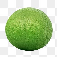 Green lime png clipart, citrus fruit on transparent background