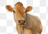 Livestock png clipart, farm animal, transparent background