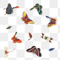 Vintage butterfly and insect illustrations transparent png