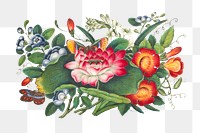 Vintage illustration of Chinese flowers transparent png