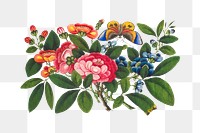 Vintage illustration of Chinese flowers transparent png