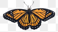 Vintage hand drawn butterfly design element