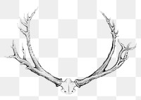 Vintage monochrome deer antlers design element