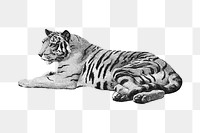 Vintage monochrome sitting tiger design element