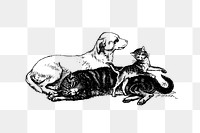 PNG Drawing of a domestic pet, transparent background