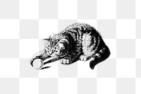 PNG Drawing of a playful cat, transparent background