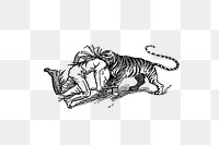 PNG Drawing of a tiger attacking a man, transparent background