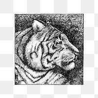 PNG Drawing of a tiger head, transparent background
