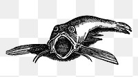 PNG Drawing of an aquatic creature, transparent background