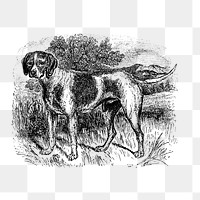 PNG Drawing of a dog, transparent background