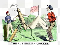 PNG Drawing of the Australian cricket, transparent background