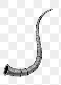 PNG Drawing of a warhorn, transparent background