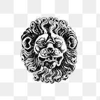 PNG Drawing of a lion head, transparent background
