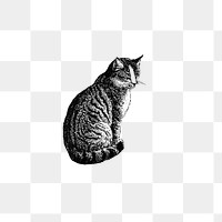PNG Drawing of a domestic cat, transparent background