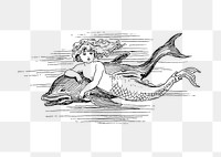 PNG Drawing of a mermaid and a dolphin, transparent background