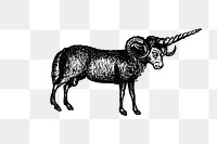 PNG Vintage Victorian style goat engraving, transparent background