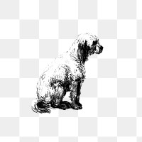 PNG Vintage European style dog engraving, transparent background